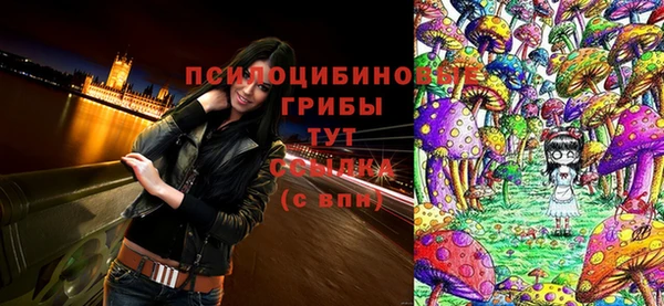 Альфа ПВП Беломорск