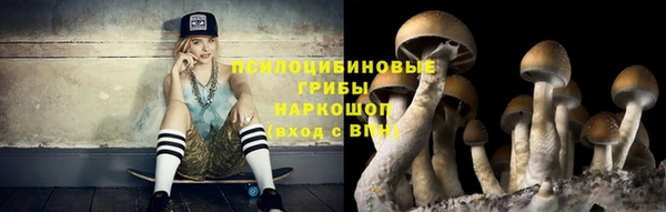 Альфа ПВП Беломорск