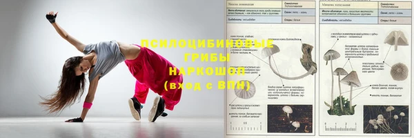 мет Белокуриха