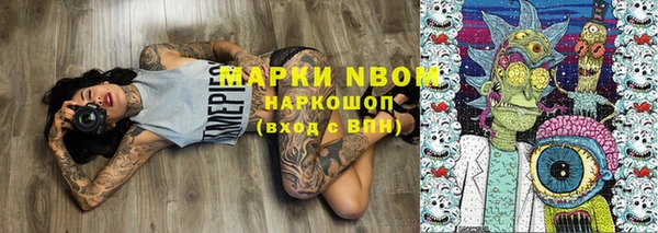 индика Снежинск
