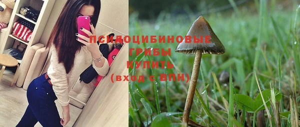Альфа ПВП Беломорск