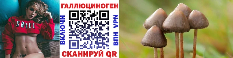 продажа наркотиков Курлово Псилоцибиновые грибы Psilocybe
